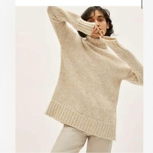 Everlane The Cloud Turtleneck